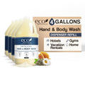 1-Shoppe Terra Pure Eco Botanics Natural Hand & Body Wash with Raw Honey & White Tea | Set Of 4